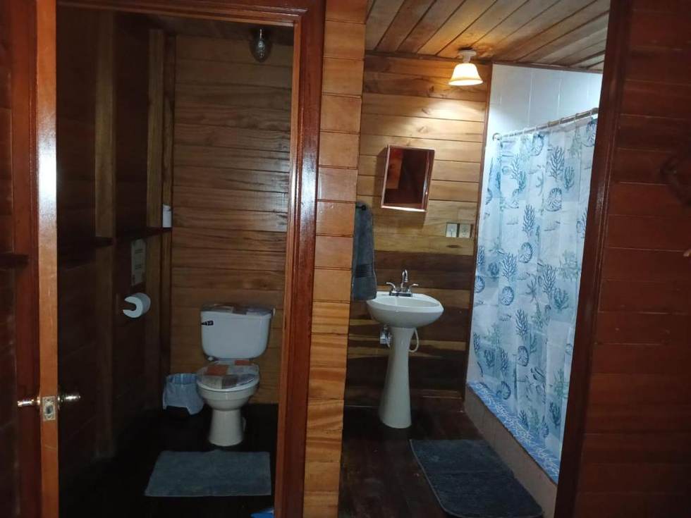 The Double Room's private bathroom: a toilet through one door, a basin and a curtained shower in timber.